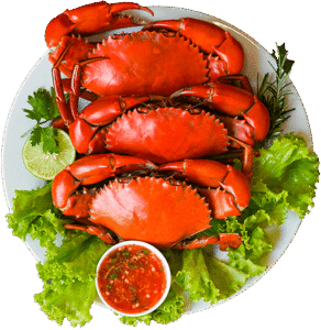 Fresh Crab Plate